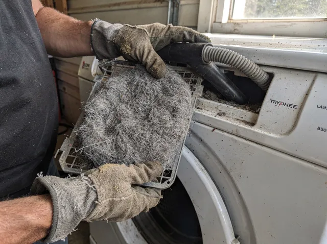 Cleaning Dryer Lint Trap in Hanover
